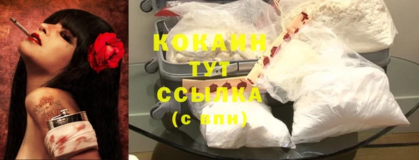 стаф Новозыбков