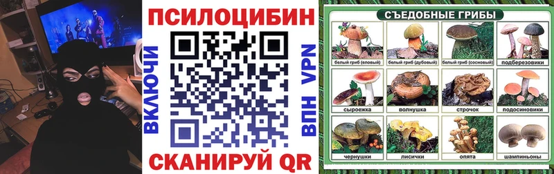 Галлюциногенные грибы мицелий  Купить где  Иноземцево 