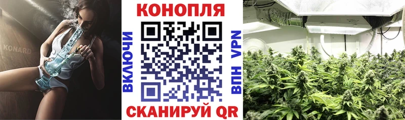 Купить где  Иноземцево  Конопля марихуана 